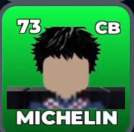 MICHELIN card, 73 OVR, PXG